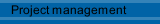 Project management
